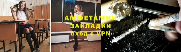PSILOCYBIN Бородино