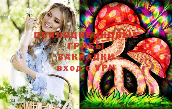 МДПВ Бронницы