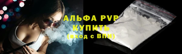 PSILOCYBIN Бородино