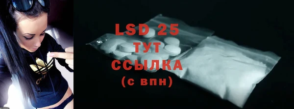 PSILOCYBIN Бородино