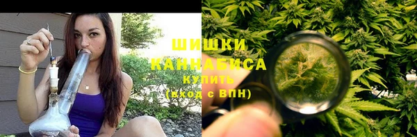 PSILOCYBIN Бородино