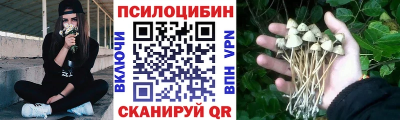 Псилоцибиновые грибы мицелий  мега рабочий сайт  Жуковский 